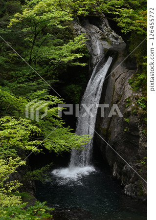 Okama Falls 5 (Nakacho, Naka District, Tokushima Prefecture) 126455772