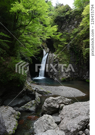 Okama Falls 3 (Nakacho, Naka District, Tokushima Prefecture) 126455794