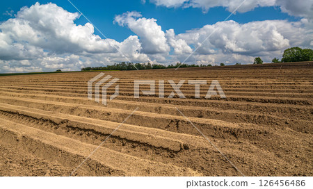 Arable field with cloudy sky in the background 126456486