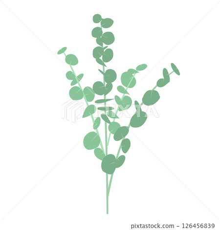 Illustration of Eucalyptus Illustration of Eucalyptus 126456839