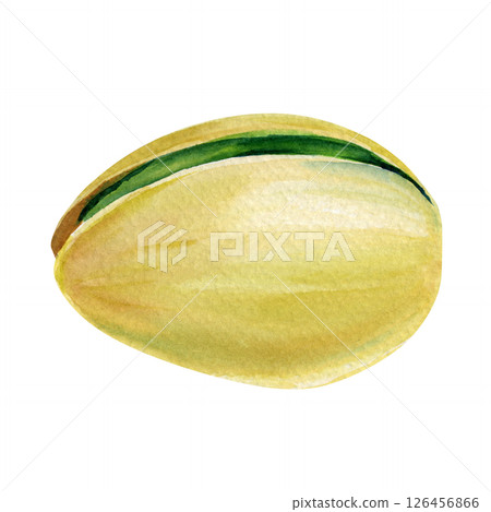 Pistachio Watercolor illustration of a closed pistachio nut in shell. Realistic hand-painted food design snack clip art Pistachio Watercolor illustration of a closed pistachio nut in shell. Realistic hand-painted food design snack clip art 126456866