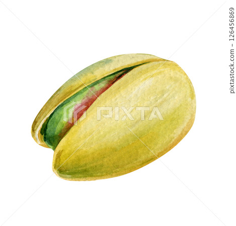 Nut n shell. Watercolor Realistic pistachio nut, hand drawn botanical illustration on white background snack art Nut n shell. Watercolor Realistic pistachio nut, hand drawn botanical illustration on white background snack art 126456869