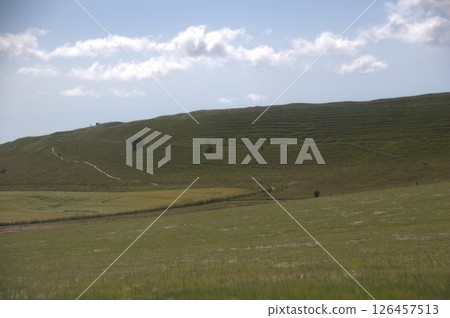Maidencastle Maidencastle 126457513