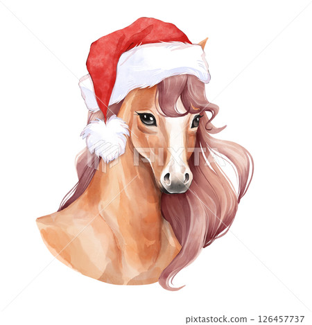Christmas Horse with Red Santa Hat Illustration 126457737