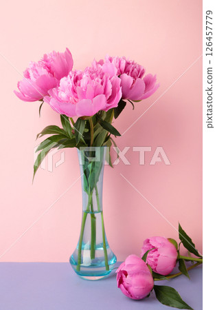 Beautiful bunch of fresh pink peonies in vase on pink background. Beautiful bunch of fresh pink peonies in vase on pink background. 126457779