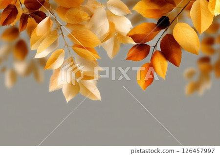 Colorful Autumn Leaves Create a Serene Atmosphere in a Tranquil Setting 126457997