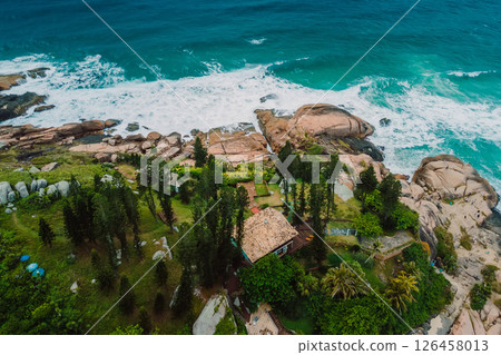 Shoreline with evergreen trees, rocks and ocean with waves in Brazil. Aerial view 126458013