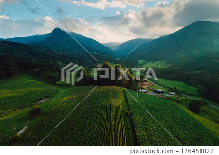 Drone view of a rural area with mountains, vegetation and corn field in Santa Catarina, Brazil 126458022