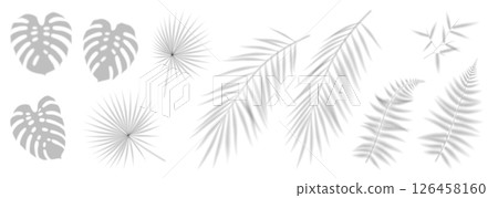 Abstract Leaf Shadows with Minimalist Aesthetic Abstract Leaf Shadows with Minimalist Aesthetic 126458160