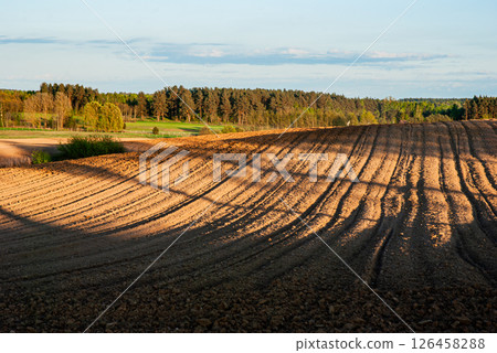Golden hour light casts long shadows over freshly plowed fields with forested horizon and blue sky in scenic rural landscape 126458288