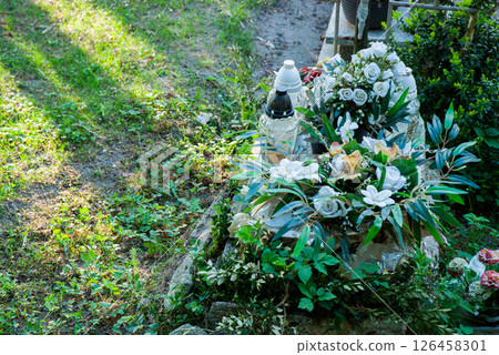 Beautiful floral arrangement on a green cemetery grave with white roses and lush foliage near tranquil paths in serene setting 126458301