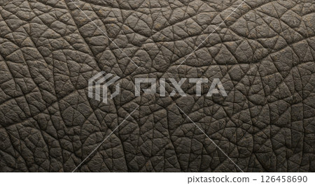 Wrinkled elephant skin texture close up with intricate natural patterns and creases 126458690
