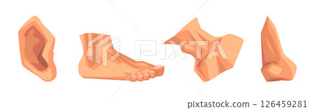 Human Body Part Separated with Skin Vector Set 126459281