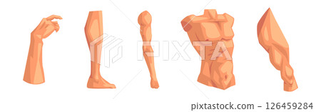 Human Body Part Separated with Skin Vector Set 126459284