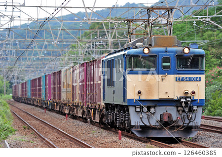 Tokaido Main Line Ninomiya-Kozu JR Freight EF64-1014 (Aichi) Tokaido Main Line Ninomiya-Kozu JR Freight EF64-1014 (Aichi) 126460385
