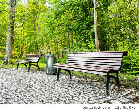 Wooden benches are placed in city park, surrounded by lush trees, creating a peaceful atmosphere for visitors, tourists and citizens. Provision of urban amenities concept 126460876
