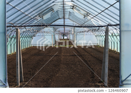 Empty greenhouse with prepared soil for planting season. 126460907
