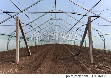 Empty greenhouse with prepared soil for planting season. 126460918