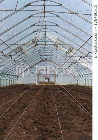 Empty greenhouse with prepared soil for planting season. 126460919