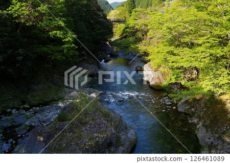 銀河系 126461089