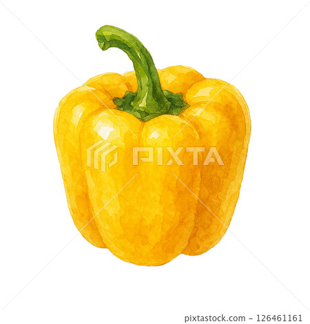 水彩畫黃椒插圖（蔬菜/食物） 126461161