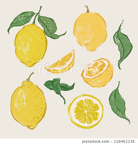 Vector fruit doodle illustration of juicy lemons and green leaves. Hand-drawn garden harvest sketch. Organic farm graphics. Tasty food for design, veggie market drawing print, fabric or background. 126461236