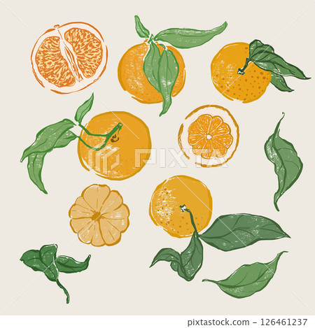 Vector fruit doodle illustration of juicy orange and green leaves. Hand-drawn garden harvest sketch. Organic farm graphics. Tasty food for design, veggie market drawing print, fabric or background. 126461237