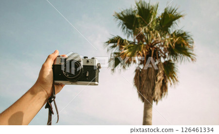 Single palm tree on dark soft light .Background concept. Generated Imag 126461334