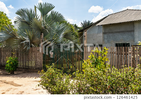 American-style houses in Belterra, Para in Brazil. American village built by Henry Ford 126461425