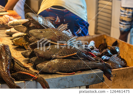 Feira Manaus Moderna in Manaus, Brazil. Popular fish market selling piranha, pirarucu and other typical Amazonian fish. 126461475