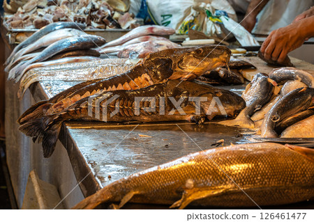 Feira Manaus Moderna in Manaus, Brazil. Popular fish market selling piranha, pirarucu and other typical Amazonian fish. Feira Manaus Moderna in Manaus, Brazil. Popular fish market selling piranha, pirarucu and other typical Amazonian fish. 126461477
