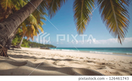 tropical beach with palm trees background with copy space. Generated Image 126461743