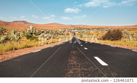 Road leading from Ranohira to town Ilakaka, small bushes and palm trees on sides, hills in distance - typical Madagascar landscape Road leading from Ranohira to town Ilakaka, small bushes and palm trees on sides, hills in distance - typical Madagascar landscape 126461871