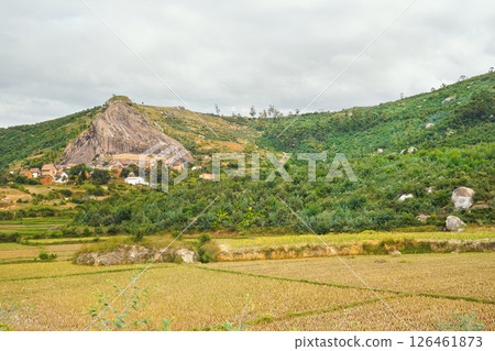 Typical landscape of Madagascar on overcast cloudy day - people working at wet rice fields in foreground, houses on small hills near Antananarivo 126461873
