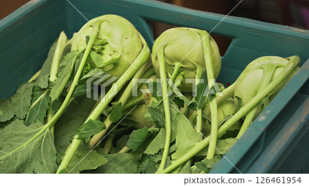 Kohlrabi - german cabbage turnip - vegetables with green leaves in blue plastic box displayed at food market 126461954