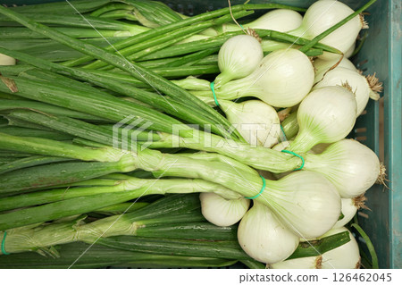 White onion heads with green leaves in plastic box, displayed on farmers market 126462045