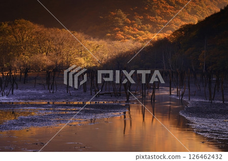 Tono City, Iwate Prefecture Autumn Sennin-Toge Tono City, Iwate Prefecture Autumn Sennin-Toge 126462432