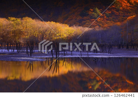 Tono City, Iwate Prefecture Autumn Sennin-Toge 126462441