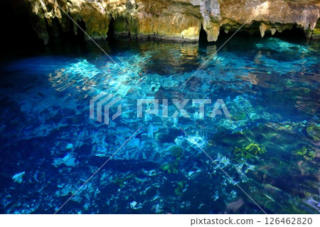 Gran Cenote 是位於中美洲墨西哥坎昆的一顆隱藏寶石，透明度極高 126462820