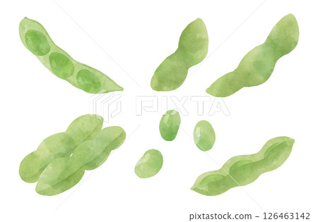 水彩風格毛豆插圖集 水彩風格毛豆插圖集 126463142