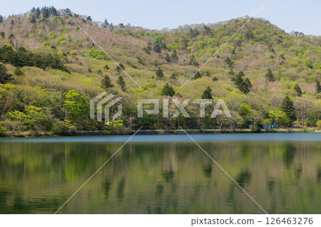 Fresh greenery on Mount Akagi and the shores of Lake Onuma 126463276