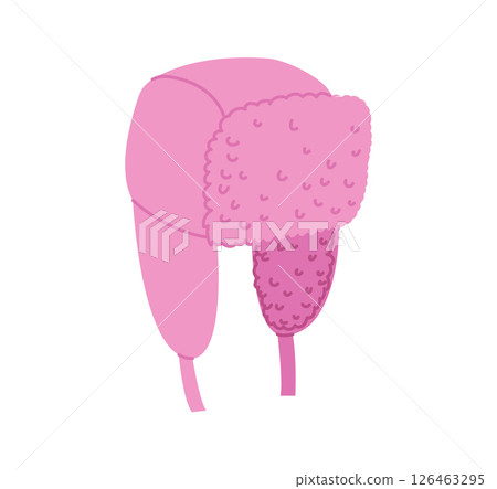 Trapper Hat, Ushanka Aviator Winter Head Fashion accessory cap with fur clothing technical illustration. Vector headgear 126463295