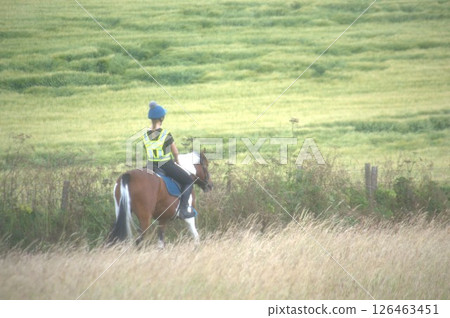 騎馬 126463451