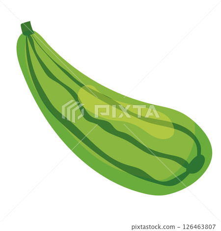 Green striped zucchini icon. Vector Green striped zucchini icon. Vector 126463807