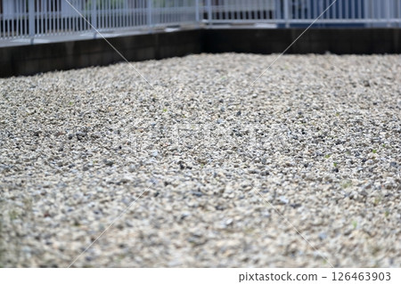 A vacant lot covered with gravel 126463903