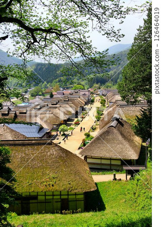 A post town lined with beautiful thatched roofs... Fresh greenery in "Ouchi-juku" 126464019