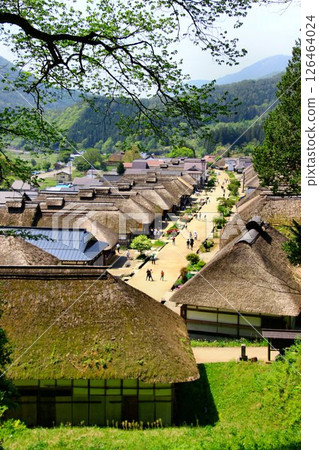 A post town lined with beautiful thatched roofs... Fresh greenery in "Ouchi-juku" A post town lined with beautiful thatched roofs... Fresh greenery in "Ouchi-juku" 126464024