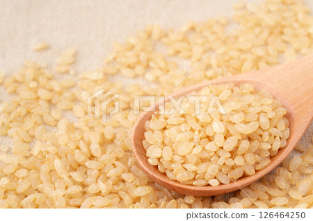 Close-up of germinated brown rice (uncooked rice) on a spoon 126464250