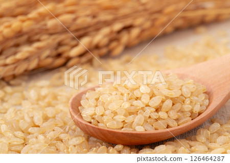 湯匙上的稻穗和發芽糙米 湯匙上的稻穗和發芽糙米 126464287