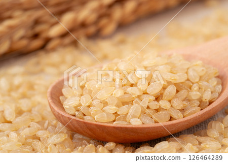 Ears of rice and germinated brown rice on a spoon 126464289